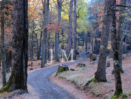 Bariloche 7