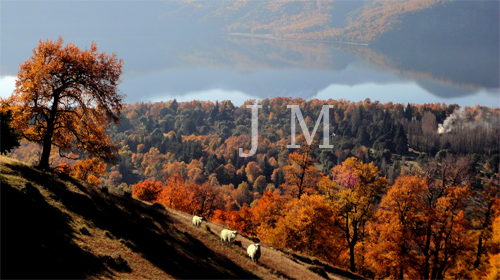 Bariloche 9