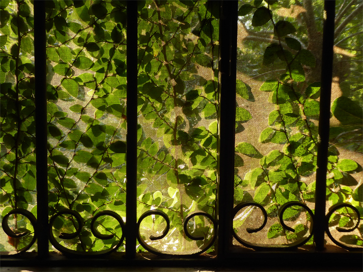 Ventana 2